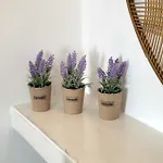 Ergina Apartament